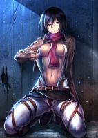 attack_on_titan_-_mikasa_20130914_012.jpg